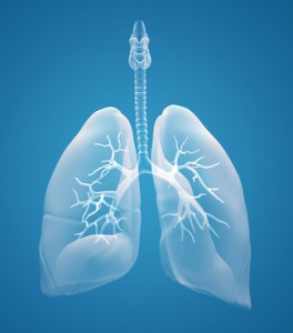 lungs x-ray