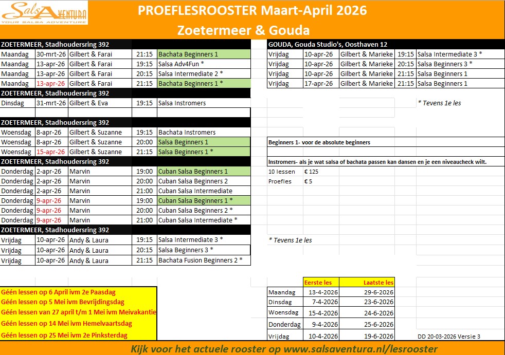 workshop vrijgezellenfeest Salsa Bachata Zoetermeer Gouda Salsadansen Bachatadansen